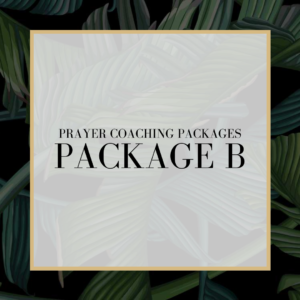 PACKAGE B