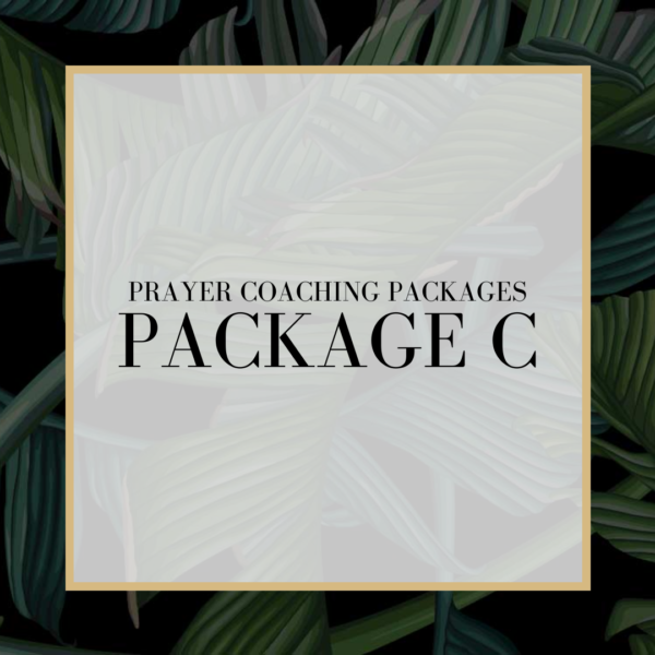 PACKAGE C