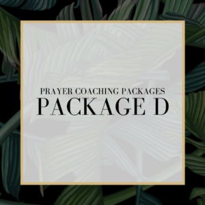 PACKAGE D