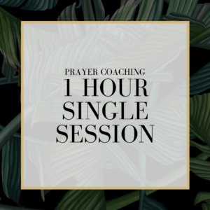 1 HOUR - SINGLE SESSION